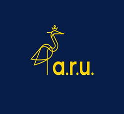 overseas education consultants